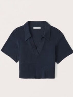 Abercrombie cozy rib polo in navy